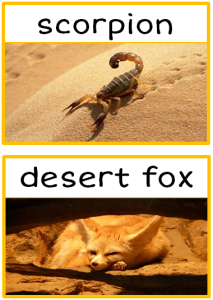 desert-animals-photo-set-p2