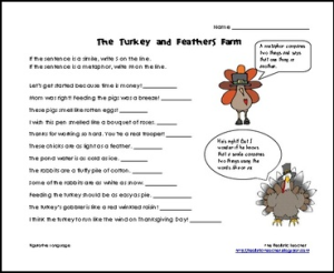 turkey feathers farm
