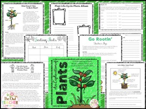 plants, science, hands-on, experiments