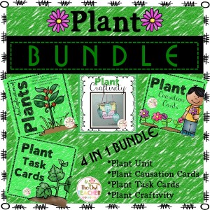 Plantbundle8x8smallertwo