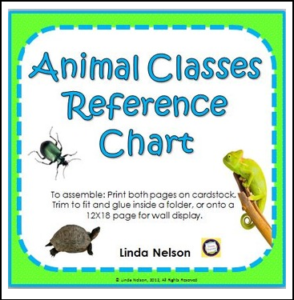 Animal Classes Reference Chart