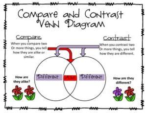 FREE LANGUAGE ARTS LESSON – “Compare And Contrast Venn Diagram Freebie ...