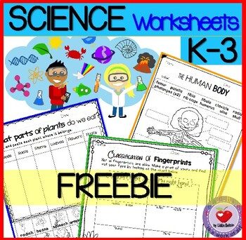 free science lesson science worksheets k 3 freebie the best of teacher entrepreneurs marketing cooperative